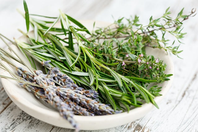 Two Herbs to Include in Your Hair Care Routine